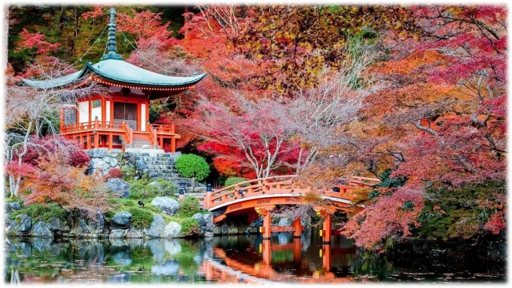Japonsko 01