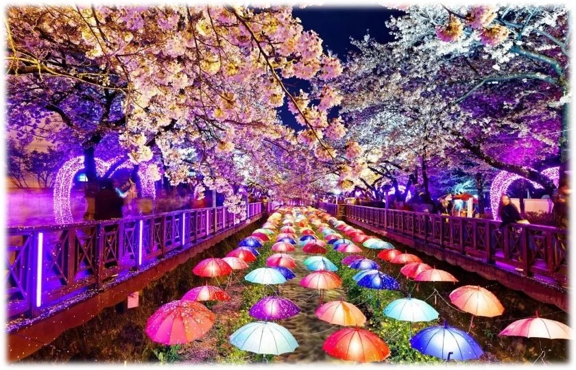 Korea 02