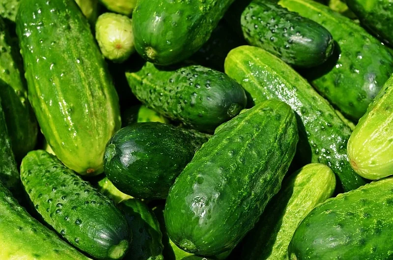 Okurky v ruštině znamenají něco úplně jiného.